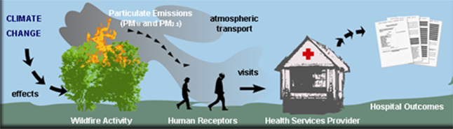 Diagram of fire effects.