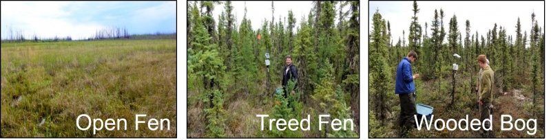 photos of an open fen, treed fen, and wooded bog