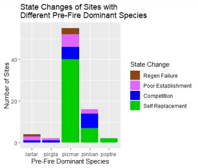 Image showing self replacement is dominant in a number of sites