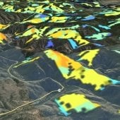 Topographical map with colored areas noting erosion probability.