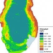 Productivity and chlorophyl amounts mapped by colored areas on two maps.