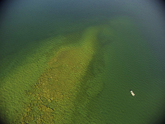 Aerial view of spawning reef in the water.