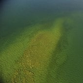 Aerial view of trout spawning reef.