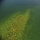 Aerial view of trout spawning reef.