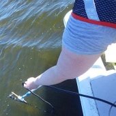 Researcher lowering a camera into the water.