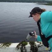 Researcher examining watermilfoil from a boat.