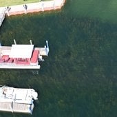 Milfoil seen under the water next to the pier.