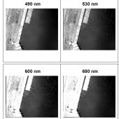 Six tetracam images of the dock area.