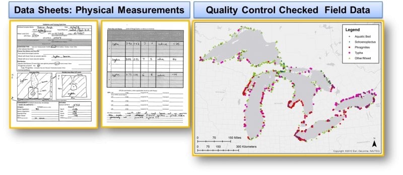 Example data sheets with physical measurements and quality control checked field data.