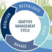 Adaptive Management Cycle