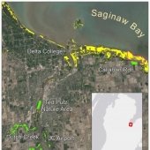 Saginaw Bay, Michigan - Field sites and Phragmites Extent Map