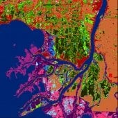 Map showing colored areas of different wetland types.