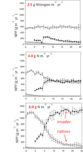 The plots above show modeling results from the process-based ecosystem model Mondrian (W. Currie, University of Michigan)