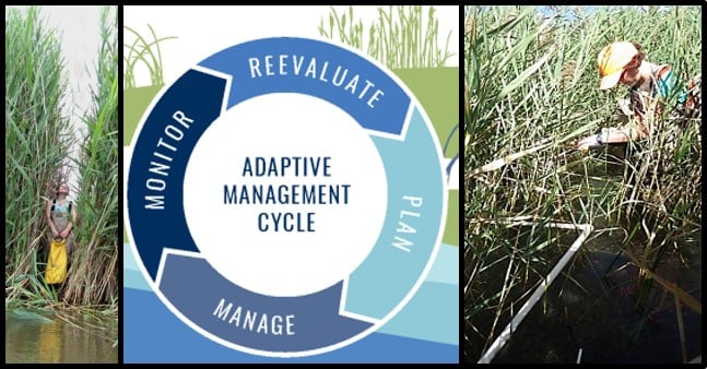 Field Photos and Logo with Monitor, Reevaluate, Plan, and Manage - Adaptive Management Cycle