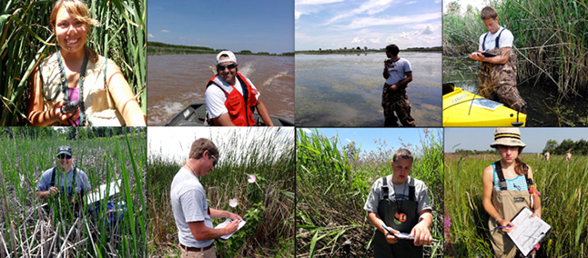 Collage of eight photos of people working in the field.