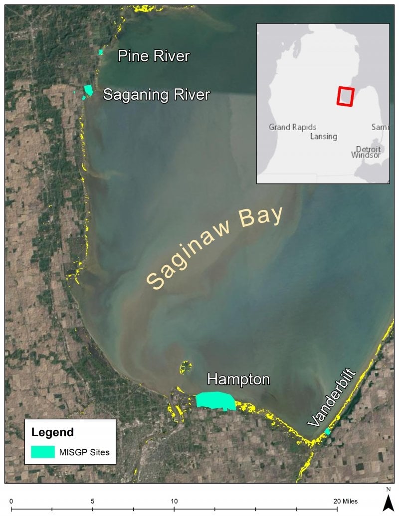 The MISGP Project Study Area in Saginaw Bay, MI. Highlighting Pine River, Saganing River, Hampton, and Vanderbuilt