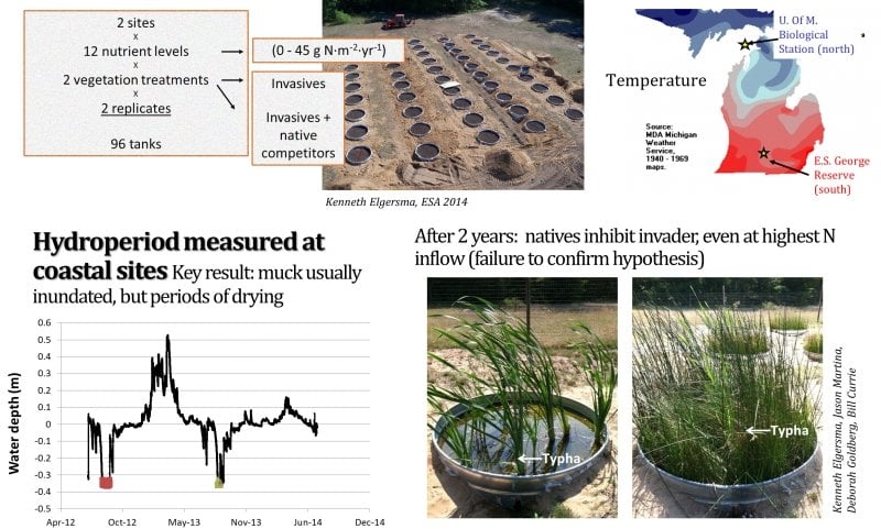 Collage of controlled experiment photos and charts.