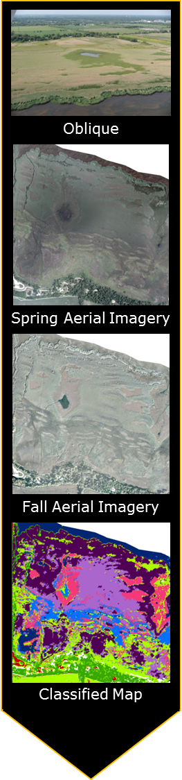 Fout images of aerial views of treatment area in different seasons.