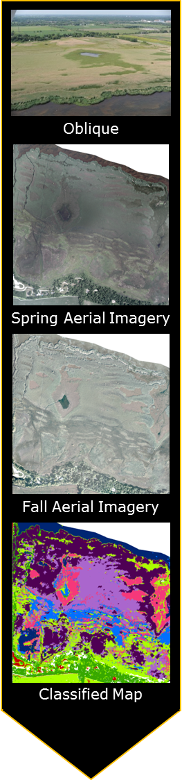 Fout images of aerial views of treatment area in different seasons.