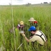 People working in a field.