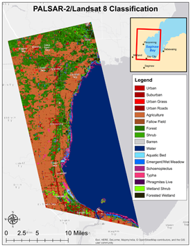 Sample PALSAR/Landsat map.