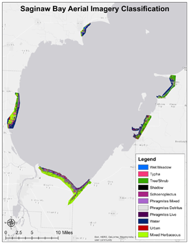 Saginaw Bay sample map.