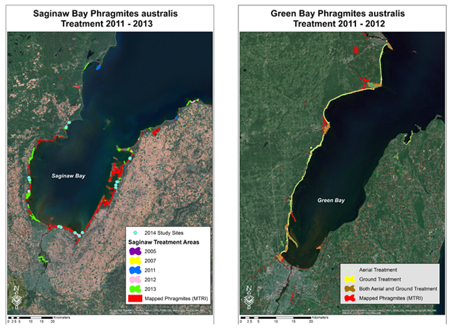Maps of Saginaw Bay and Green Bay with treatment areas marked.