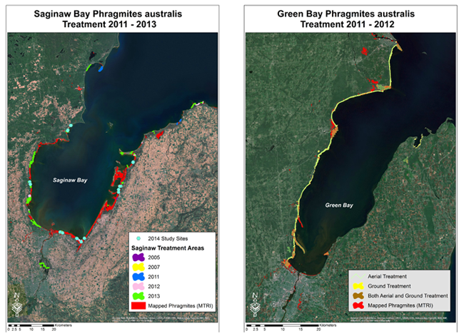 Maps of Saginaw Bay and Green Bay with treatment areas marked.