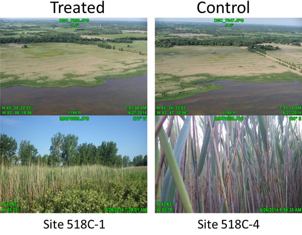 Four images comparing treated areas with a control.