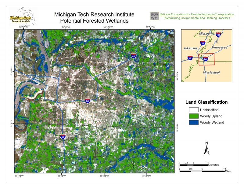 Example of potential forested wetlands screen.