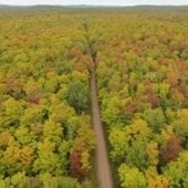 Aerial view of a road going through a forest.