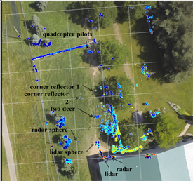 Example overhead LIDAR image of deer.