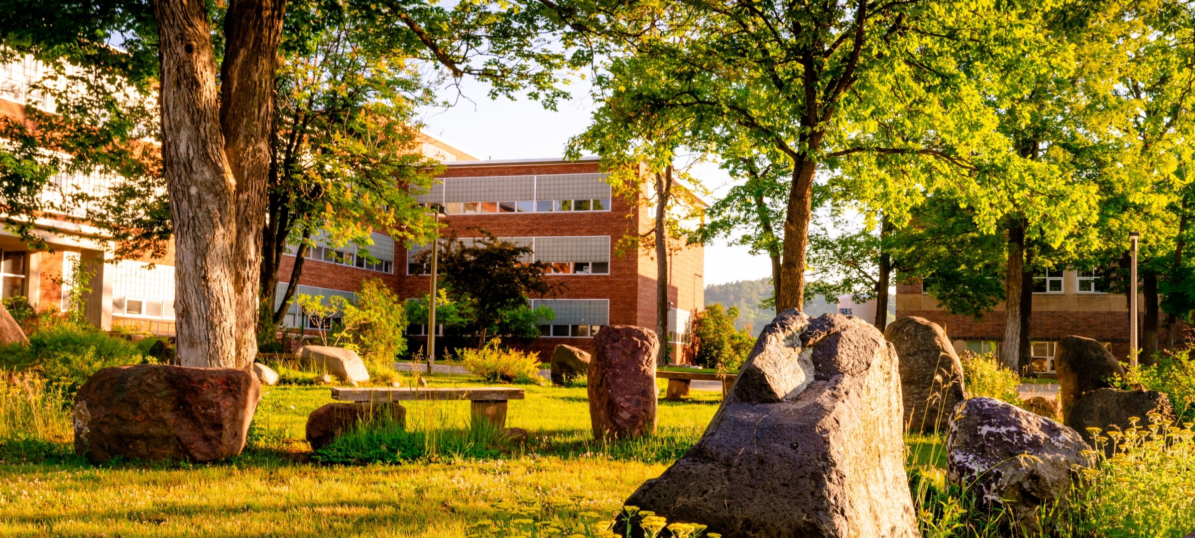 View of Dillman Hall from the boulder garden.