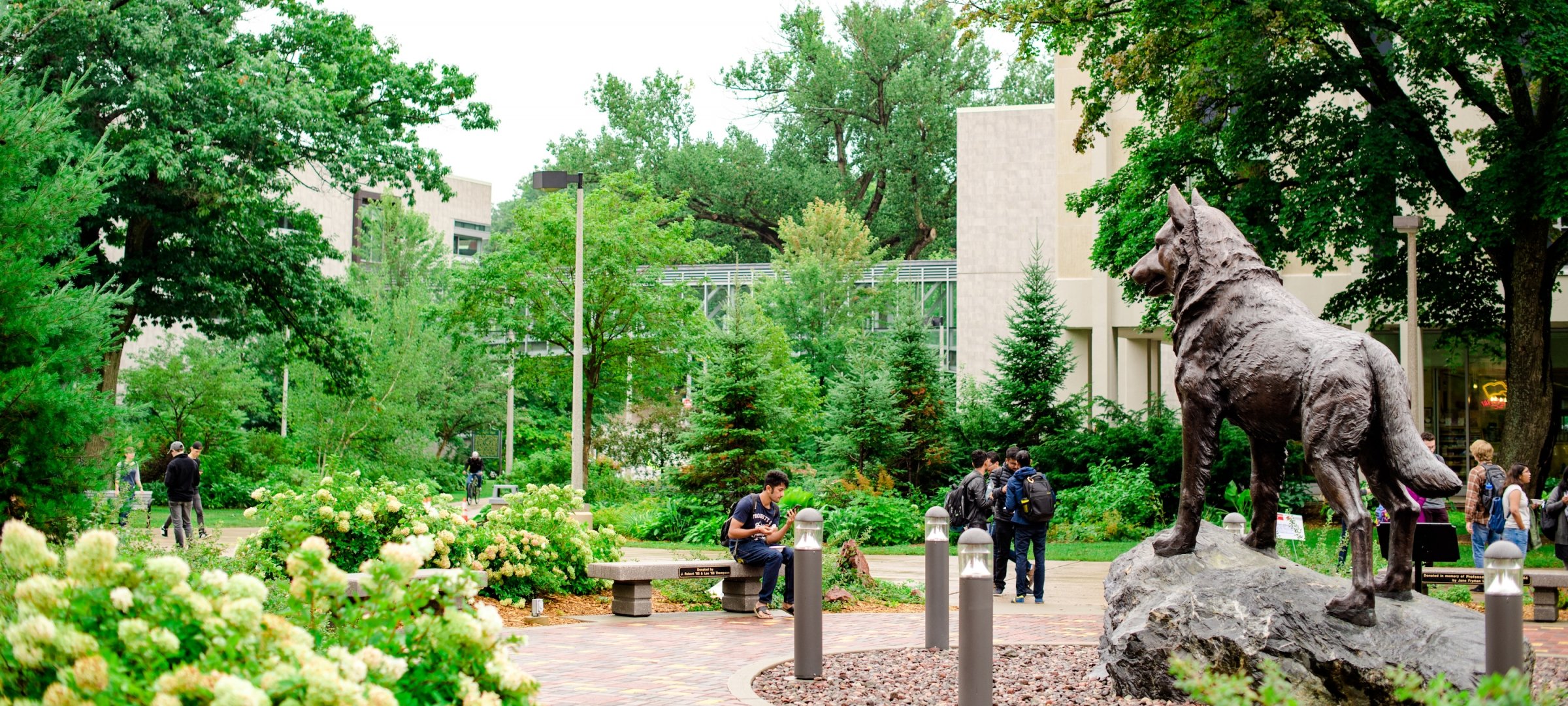 MTTI Membership, with campus mall in summer showing people by the Husky statue.