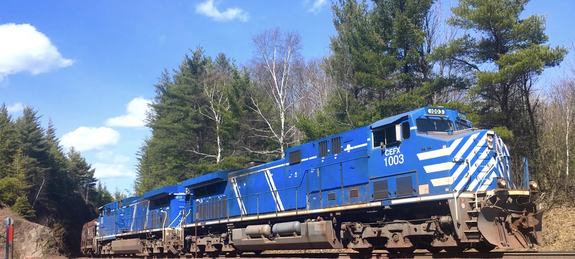 Blue locomotive emerging from wooded land.