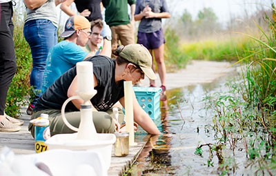 Students collecting water samples