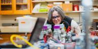 Amy Marcarelli stands in a lab wearing safety goggles, leaning over to get a closer look at glass bottles being monitored for data by a laptop and electrodes.