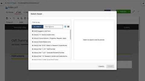 Preview image for Asset Insert on a Page video