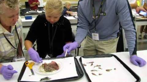 Preview image for Investigating the Lake Superior Food Chain video
