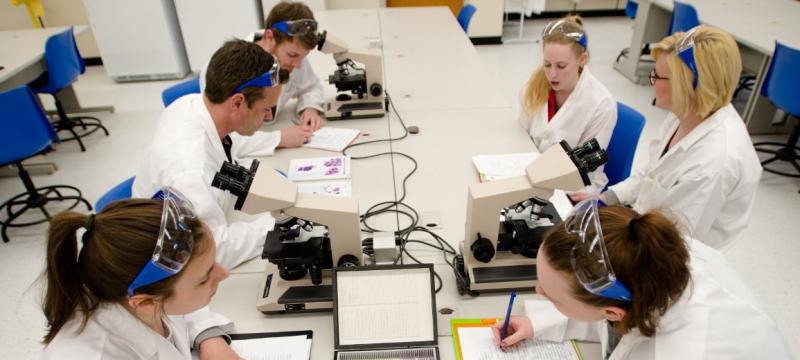 Students working at a table with microscopes.