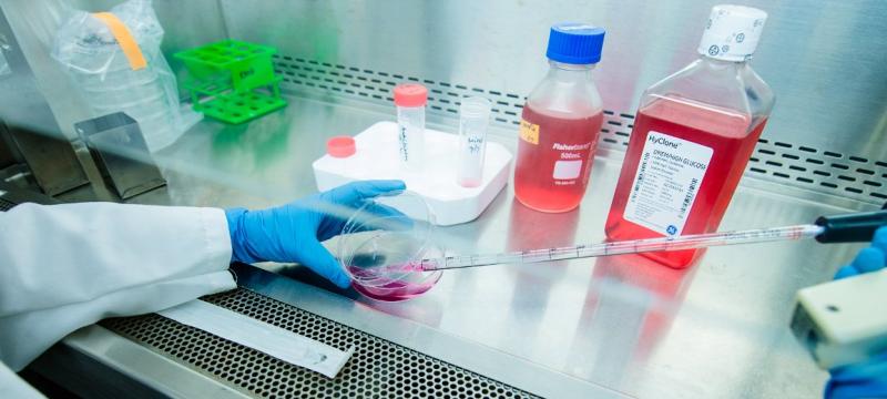 Drawing a sample in a fume hood.