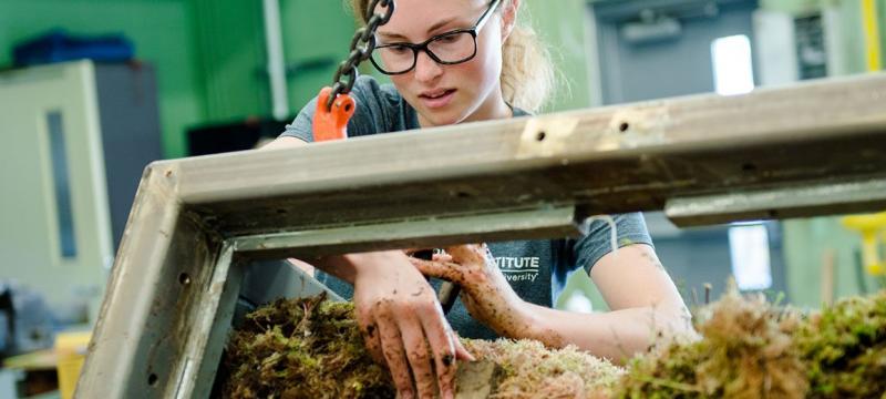 Student cutting samples from a section of peat in a lab.