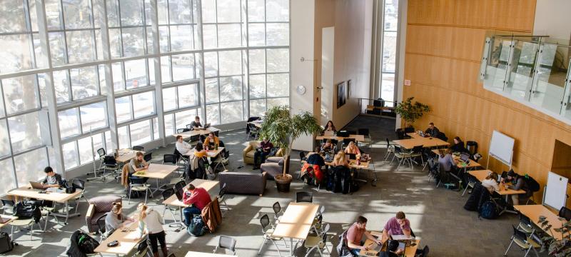 Aerial view of two dozen students studying at library tables with a wall of windows on left side letting in bright natural light.