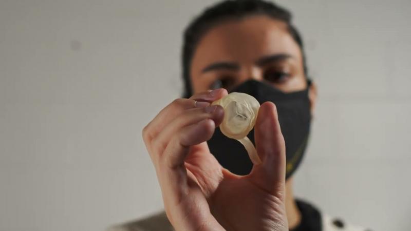 Preview image for Biomedical Engineering at MTU Gets to the Heart of the Matter video