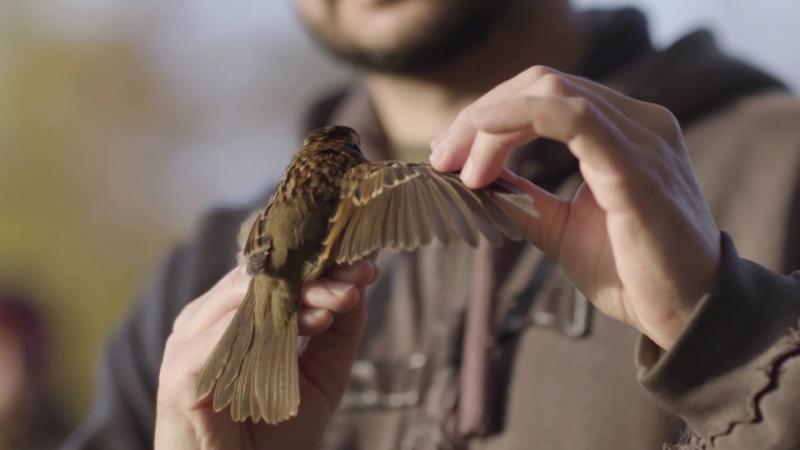 Preview image for Where Research Goes Outdoors video