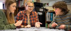 Sarah Hoy, Tara Bal and Grace Moeggenborg sit around a table covered in more than 50 small vials, each containing a winter tick used in their research.