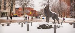 The Michigan Tech campus and Husky statue covered in snow during winter