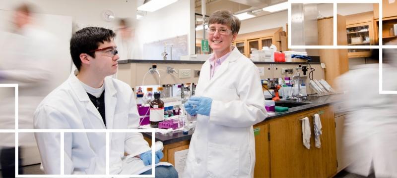 Megan Frost working in her lab with students.