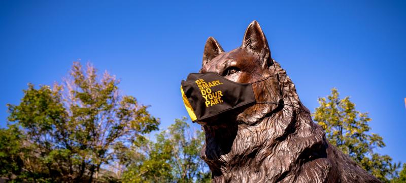 Bronze husky statue on campus with a face covering.