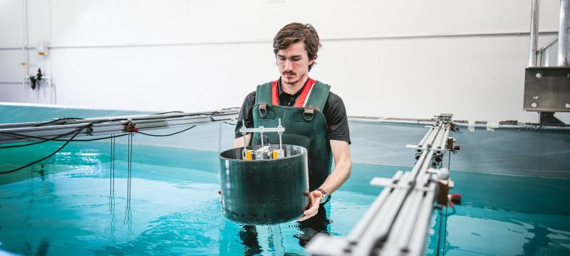 Student researcher performing a test in the wave tank.